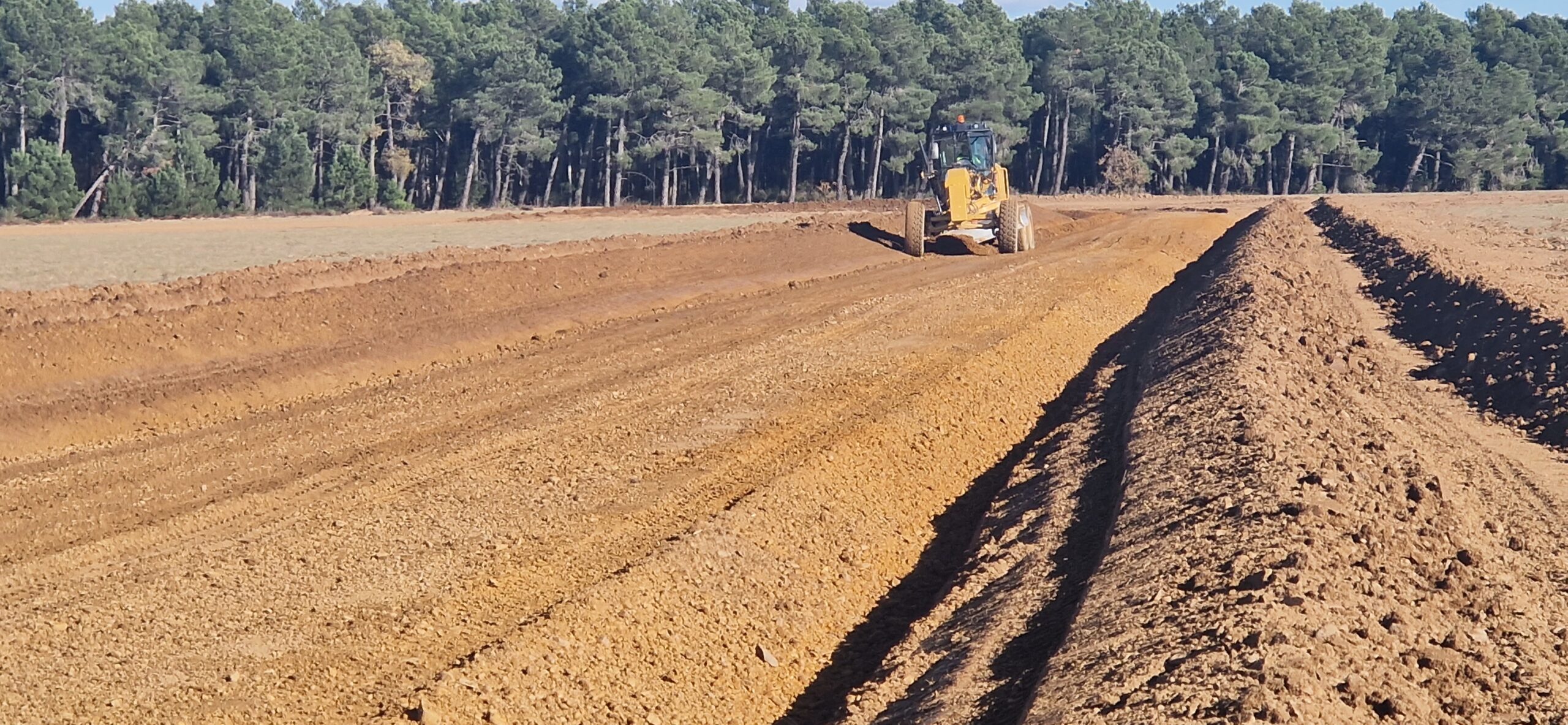 20241112 152236 scaled