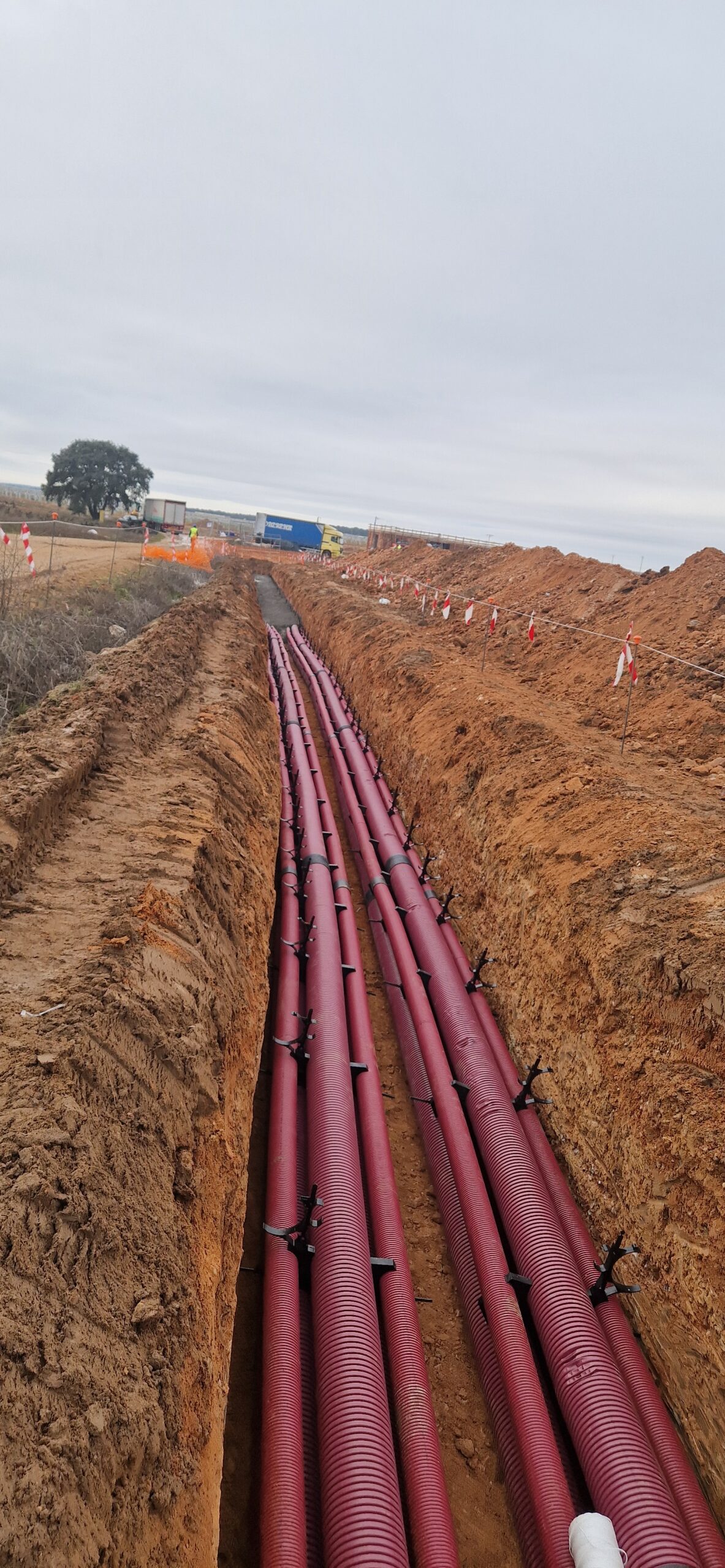 20250213 100933 scaled