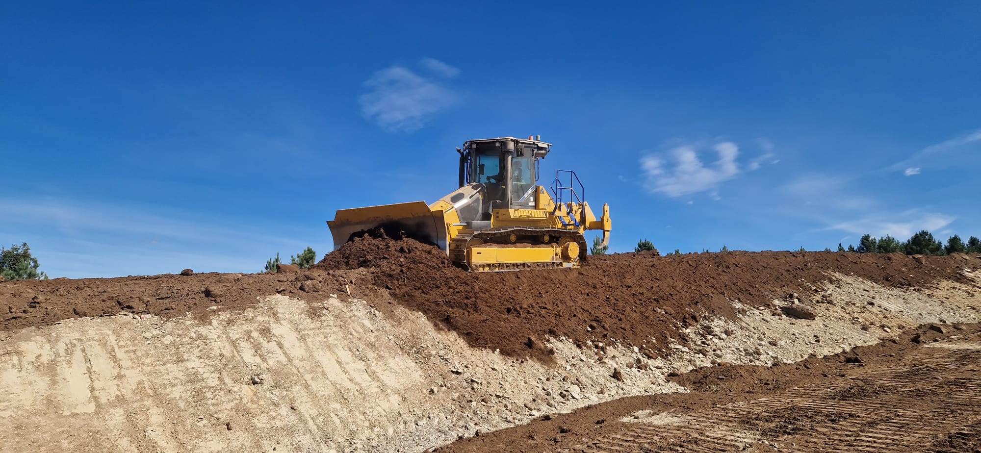 Imagen de WhatsApp 2024 12 14 a las 13.28.02 294a94de